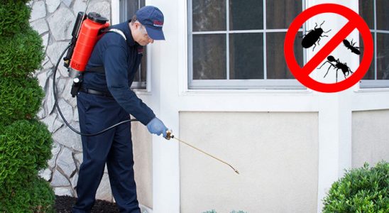 Çayırlı Kene İlaçlama böcek ilaçlama ve haşere kontrolü — ilaclama-tr.com